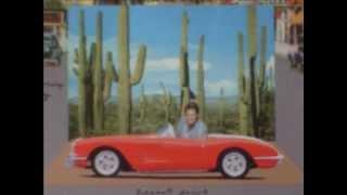 Brian Wilson-Desert Drive