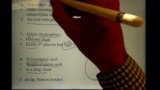 Nematocyst Structure and Function v3 9 24