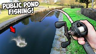 Fishing the WORST PUBLIC PONDS in My City! (Can I Catch Anything?)