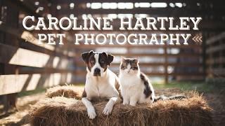 Caroline Hartley Photography: Professional Pet Photographer