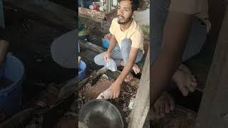 Fish cutting skills।। Coral Fish।।Sea Food.