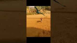 Eagle vs Baby Dog Part-6 New Video | Short #shorts #eagle #dog