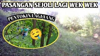 TERLIHAT SANGAT JELAS||bocil berkembang biak