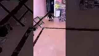 تسجيل دخول ناري ️️