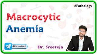 4. Macrocytic Anemia | USMLE Step 1 Pathology