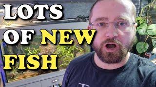 HUGE Fishhouse Update | Lots of NEW FISH And RARE Macroalgae