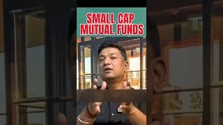 What are small cap mutual funds?