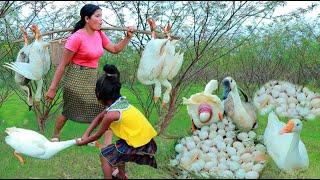 Primitive Life Village - Mare I bebe cacen toques - cookeEgg Eating delicious