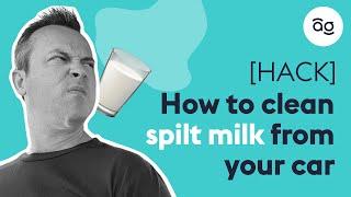 How to clean spilt milk in your car | AutoGuru.com.au