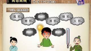 5 中醫基礎理論 病因病機