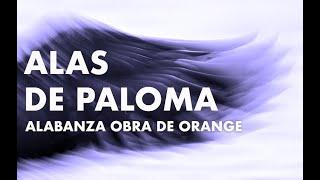Alas de Paloma (featuring Alex Zamora & ODO Worship)