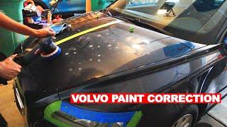 My FIRST TIME Doing PAINT CORRECTION | Adam's Polishes Swirl Killer