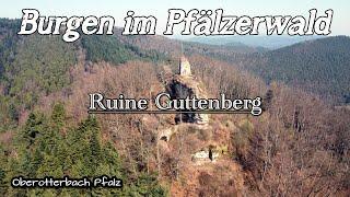 Ruine Guttenberg | Wandern | Pfälzer Wald | Böllenbornn | DE