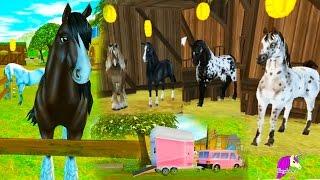 Star Stable Lifetime Rider & Buying A New Horse - Horses Game Let's Play with Honeyheartsc Video