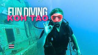 30 Days of FUN DIVING in Koh Tao  After a 10-Year Break