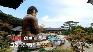 ENG] 단풍이 예쁘게 물든 심학산 아래 고즈넉한 사찰 약천사 | 서울근교여행 | korea, temple, trip, maple