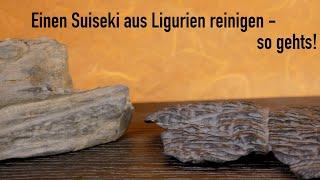 Suiseki selbst reinigen - aber wie?!