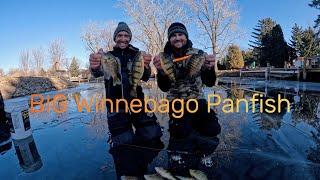 Ice Fishing Lake Winnebago Perch and Bluegills!