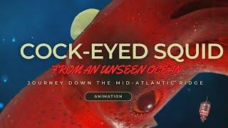 Cock eyed Squid in the Mid Atlantic Ridge - journey into the unknown abyss