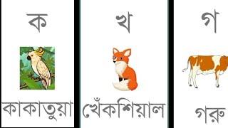 Banjonborno | "ক" তে কাকাতুয়া | ক খ গ, ব্যঞ্জনবর্ণ 3 | #BanglaAlphabet #Bangla #Bornomala