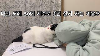 내일 모레 50에 여자 혼자 제주로 1년 살기 가는 이유?!