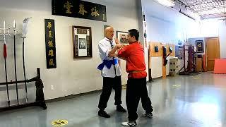 BASIC Dan Chi Sao for Beginners