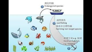 DSE Bio 生態平衡與保育 Ecological balance and conservation-Ecology 生態學 15