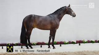 Hanoverian Stallion Licensing 2019- No. 90 Stallion by Morricone - Fürstenball