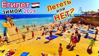 Египет ЗИМОЙ 2024  СТОИТ ли ЕХАТЬ отдыхать в Декабре, Январе и Феврале? ЦЕНЫ на туры на ДНЕ️