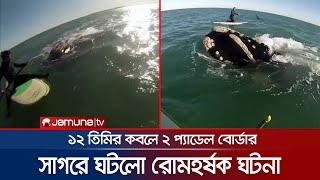 সাগরে ১২টি তিমির কবলে দুই প্যাডেল বোর্ডার, তারপরে কী হলো? | Argentina Whale