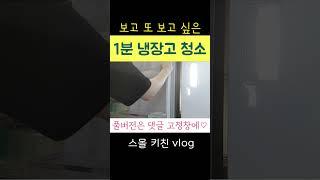 보고 또 보고 싶은 1분 냉장고 청소 #주부브이로그 #살림브이로그 #냉장고정리