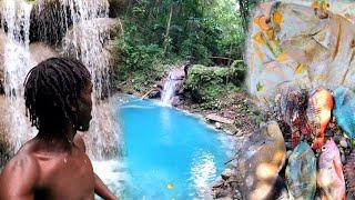 Queen Trigger Fish Catch Ñ Cook | Hidden Paradise | Waterfalls in Portland Jamaica | Must Watch‼️