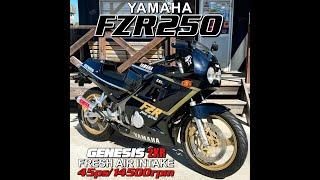 ヤフオク ヤマハ FZR250 エンジン始動動画