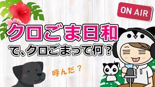 クロごま日和の名前は実は…【おしゃべり】