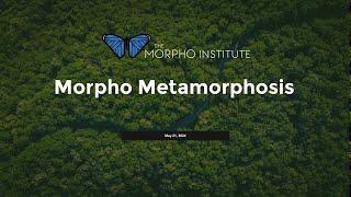 Morpho Metamorphosis 2024