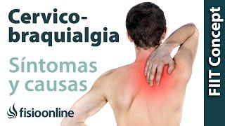 ¿Qué es la cervicobraquialgia o dolor cervical irradiado y cuáles son sus causas y síntomas?