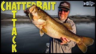 3 Reasons ChatterBaits are a Dominant Bass Fishing Lure