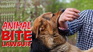 Do you have a personal injury case if animal bite you? | Animal Bite Lawsuit | Dog Bite Lawsuit