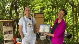 Live von Pias Bienenstand - 20.05.2024 - PSA und australische Honigerntemethoden