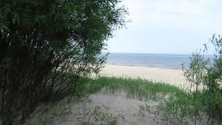 08.06.2019 Vasknarva. Way To The Lake