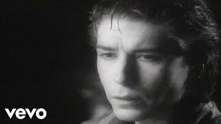 The Psychedelic Furs - The Ghost in You (Official Video)