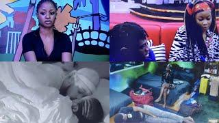 SHEGGZ & BELLA SHARED A PASSIONATE KlSS LAST NIGHT, ALLYSYN ENDS THINGS WITH ADEKUNLE | BBNAIJA