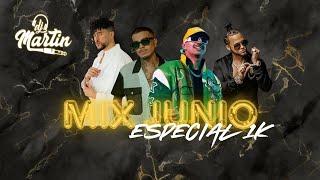 MIX JUNIO 2024 - ESPECIAL 1K (Feid, Santa, Tumba, Tech, Old) - Dj MARTIN