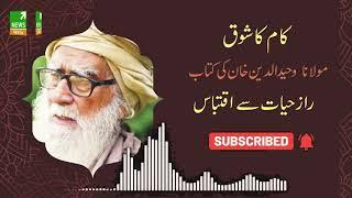 #MaulanaWahiduddin #UrduJunction Kam ka shouq|Raze Hayat |Maulana Wahiduddin Khan | Islamic Scholar