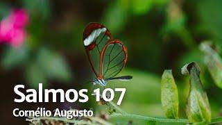 Bíblia Falada | Salmos 107