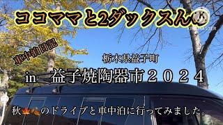 ココママ家の2ダックスんと車中泊日記‼️益子陶器市へ行ってみました。ペニーレインにも‼️