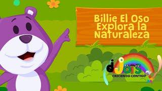 billy the bear explores nature / children's stories / short stories