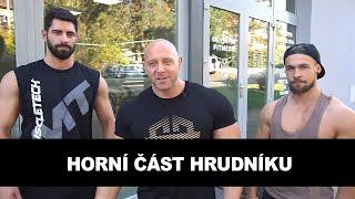 CVIKY NA PRSA #1 | Horní část hrudníku. Jak napumpovat prsa. Benchpress. Zásobník cviků.