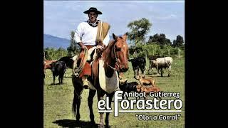 12 - La mochila negra - Chacarera - del Chango Barcena - Anibal Gutierrez - El Forastero