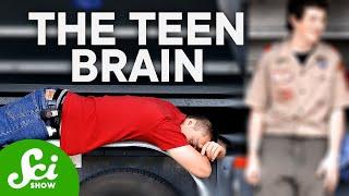 How Teenagers' Brains Are Actually Wired Differently